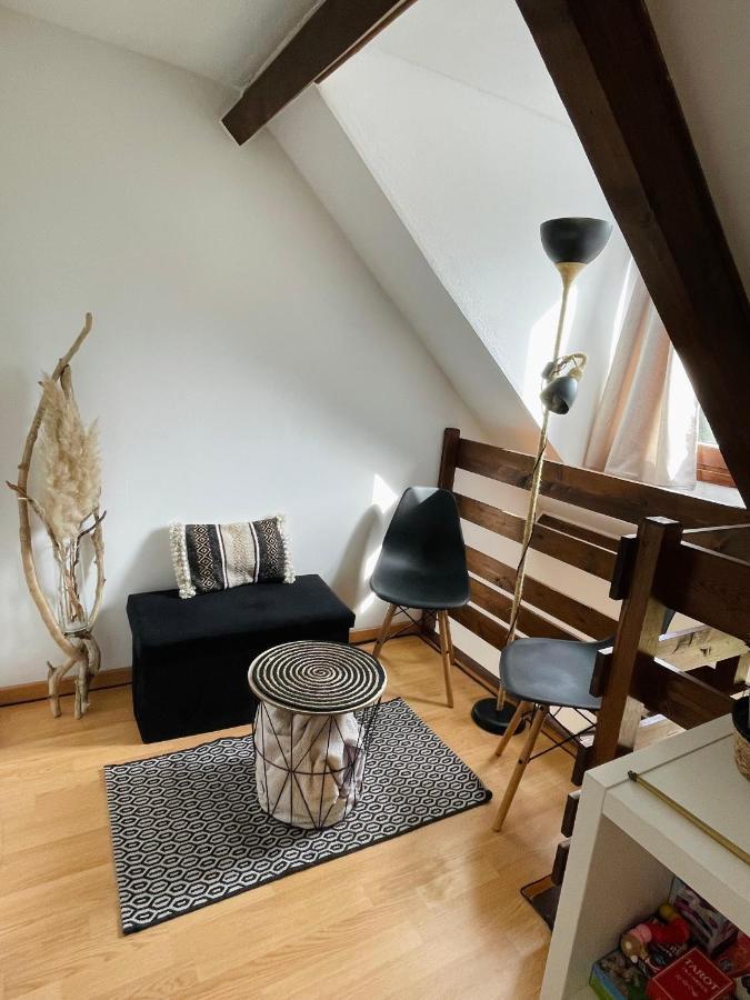 Duplex Du Pailhet, T3 Neuf, Vue Montagne, Parking, Navette Et 2 Velos A Disposition Gratuitement Bagnères-de-Luchon Exteriör bild
